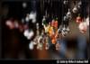 img_4464_small.jpg
