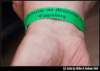 img_4645_small.jpg